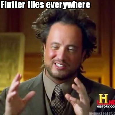 Meme Creator - Flutter flies everywhere