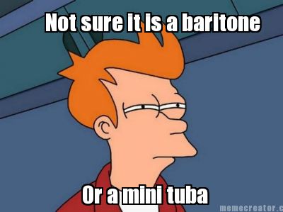 not-sure-it-is-a-baritone-or-a-mini-tuba