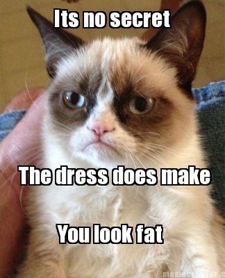 its-no-secret-the-dress-does-make-you-look-fat