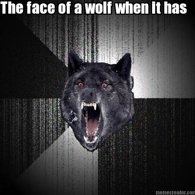 the-face-of-a-wolf-when-it-has