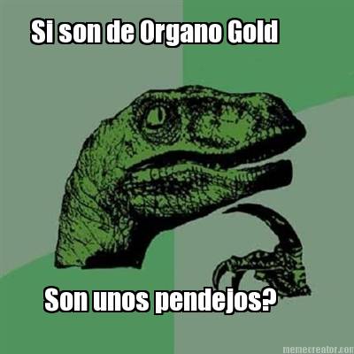 si-son-de-organo-gold-son-unos-pendejos