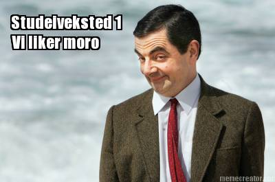 studeiveksted-1-vi-liker-moro