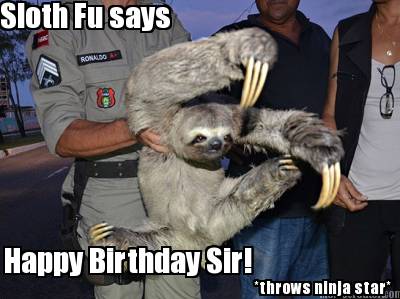 sloth-fu-says-happy-birthday-sir-throws-ninja-star