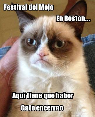 festival-del-mojo-en-boston...-aqu-tiene-que-haber-gato-encerrao