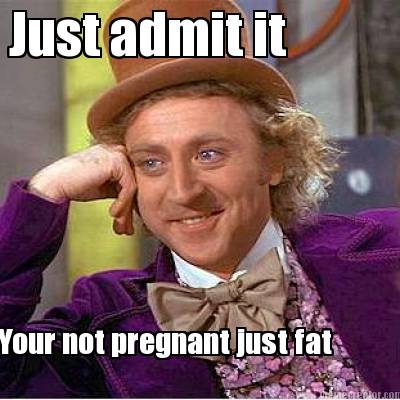 just-admit-it-your-not-pregnant-just-fat