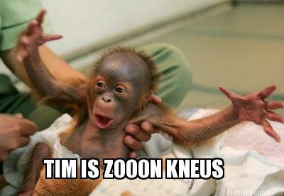 tim-is-zooon-kneus