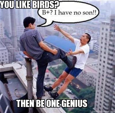 you-like-birds-then-be-one-genius