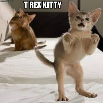 t-rex-kitty