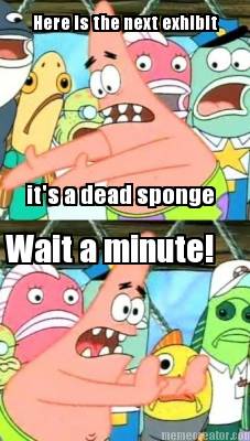 here-is-the-next-exhibit-its-a-dead-sponge-wait-a-minute