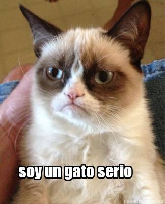 soy-un-gato-serio