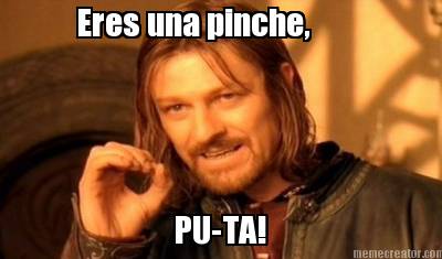 eres-una-pinche-pu-ta