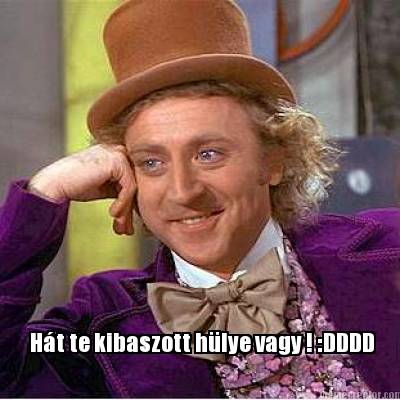 ht-te-kibaszott-hlye-vagy-dddd