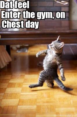 dat-feel-enter-the-gym-on-chest-day