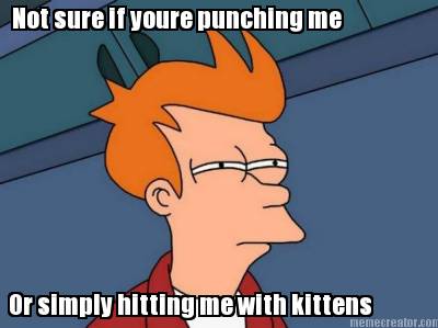 or-simply-hitting-me-with-kittens-not-sure-if-youre-punching-me