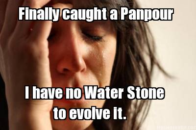 finally-caught-a-panpour-i-have-no-water-stone-to-evolve-it