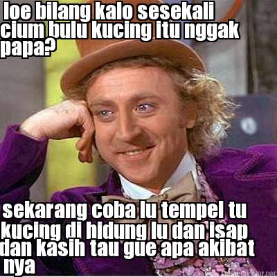 loe-bilang-kalo-sesekali-cium-bulu-kucing-itu-nggak-papa-sekarang-coba-lu-tempel