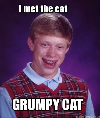 i-met-the-cat-grumpy-cat