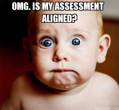 omg.-is-my-assessment-aligned