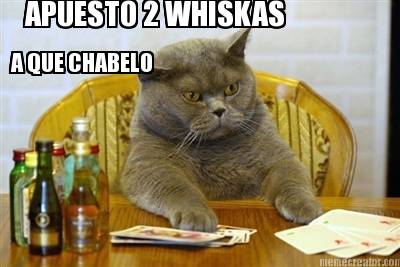 apuesto-2-whiskas-a-que-chabelo
