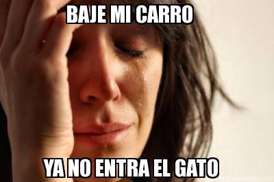 baje-mi-carro-ya-no-entra-el-gato