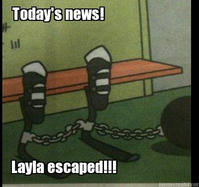 todays-news-layla-escaped