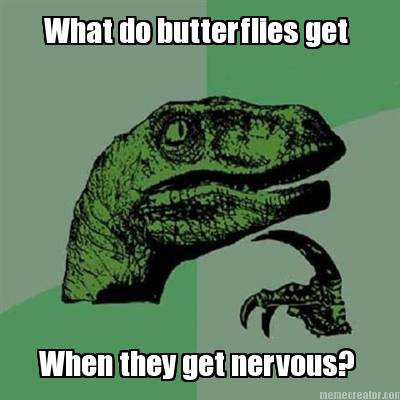 what-do-butterflies-get-when-they-get-nervous