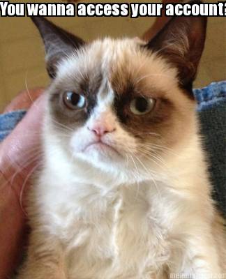 you-wanna-access-your-account