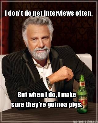 i-dont-do-pet-interviews-often.-but-when-i-do-i-make-sure-theyre-guinea-pigs