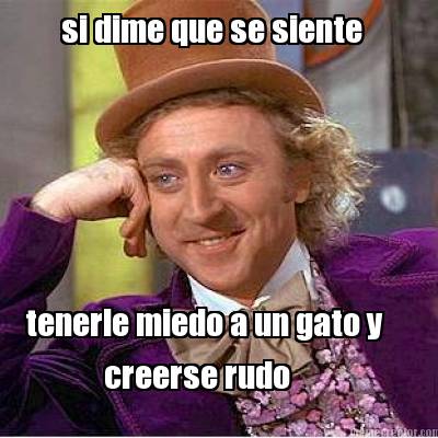 si-dime-que-se-siente-tenerle-miedo-a-un-gato-y-creerse-rudo