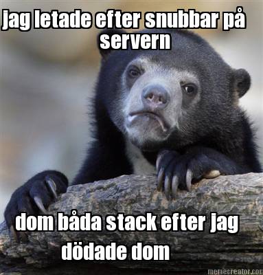 jag-letade-efter-snubbar-p-servern-dom-bda-stack-efter-jag-ddade-dom