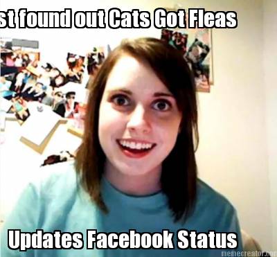 just-found-out-cats-got-fleas-updates-facebook-status