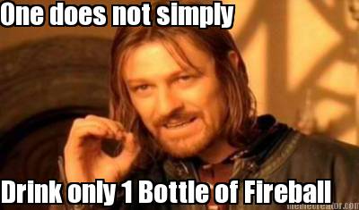 one-does-not-simply-drink-only-1-bottle-of-fireball