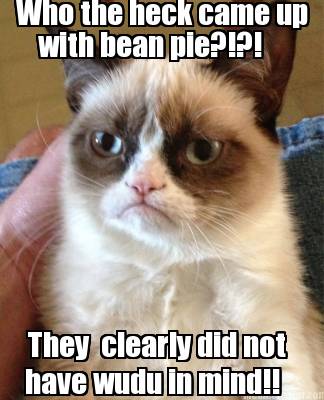 who-the-heck-came-up-with-bean-pie-they-clearly-did-not-have-wudu-in-mind