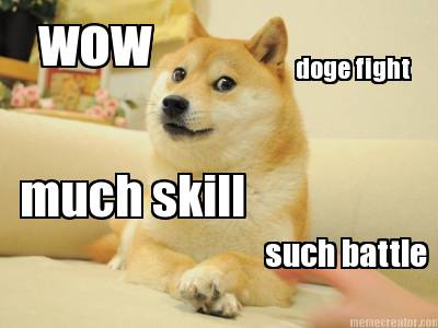 wow-such-battle-doge-fight-much-skill