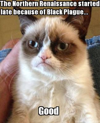the-northern-renaissance-started-late-because-of-black-plague...-good