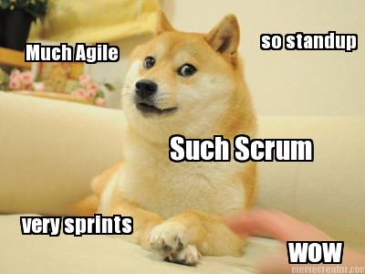 much-agile-such-scrum-very-sprints-wow-so-standup
