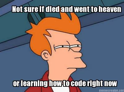 not-sure-if-died-and-went-to-heaven-or-learning-how-to-code-right-now