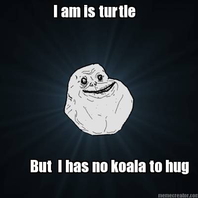 i-am-is-turtle-but-i-has-no-koala-to-hug