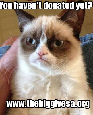 you-havent-donated-yet-www.thebiggivesa.org
