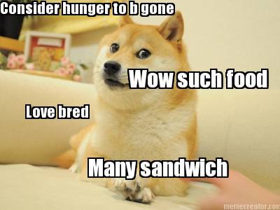 wow-such-food-many-sandwich-love-bred-consider-hunger-to-b-gone