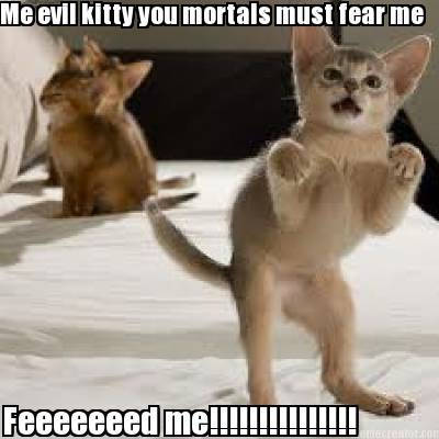 me-evil-kitty-you-mortals-must-fear-me-feeeeeeed-me