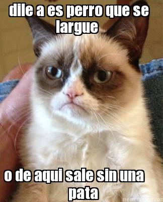 dile-a-es-perro-que-se-largue-o-de-aqui-sale-sin-una-pata