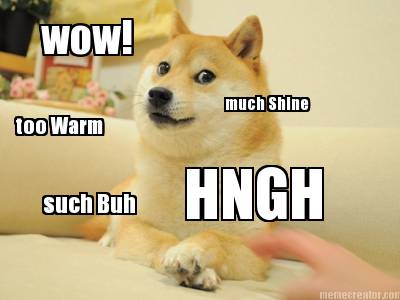 wow-such-buh-hngh-much-shine-too-warm