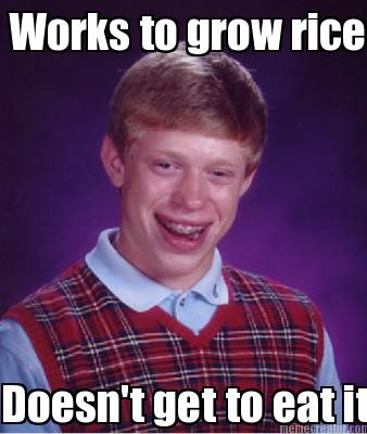 works-to-grow-rice-doesnt-get-to-eat-it
