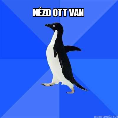 nzd-ott-van