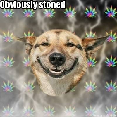 obviously-stoned