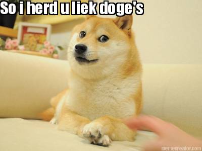 so-i-herd-u-liek-doges