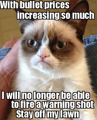 with-bullet-prices-increasing-so-much-i-will-no-longer-be-able-to-fire-a-warning