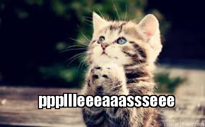 pppllleeeaaassseee