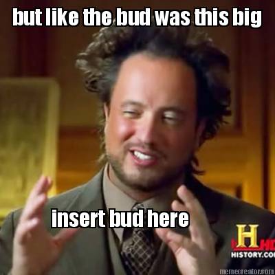 but-like-the-bud-was-this-big-insert-bud-here